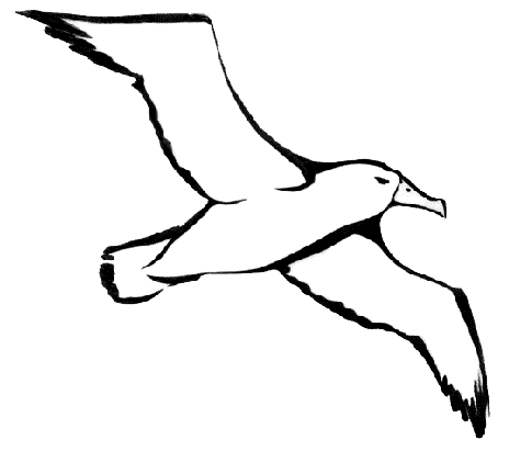 Albatross Png File (white, lavender, black, gray)