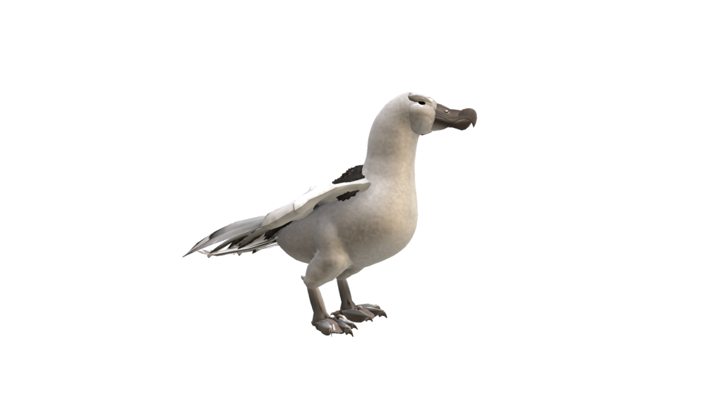 Albatross Png Hd (black, gray, indigo)