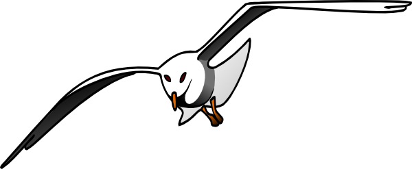 Albatross Png Pic (white, lavender, black, gray)