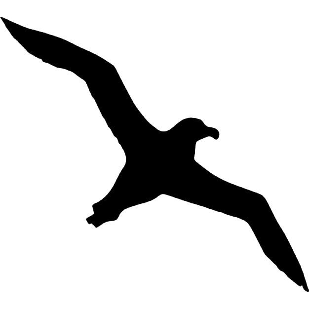 Albatross Transparent Background (white, lavender, black)