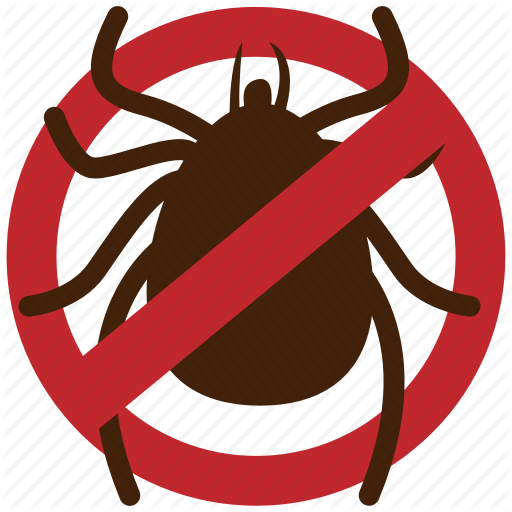 Flea Png Background Image (black, maroon, chocolate)