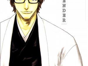 Bleach Anime 300X225 (black, gray, white)