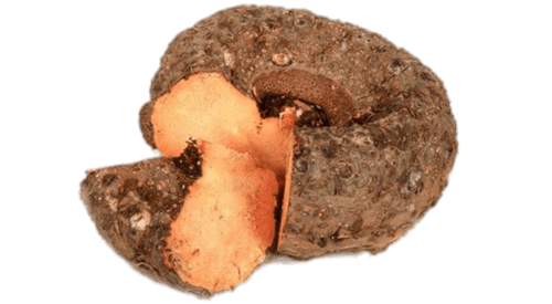 Elephant Root Yam Png Hd (gray)