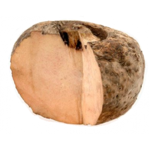 Elephant Root Yam Png (salmon, white)