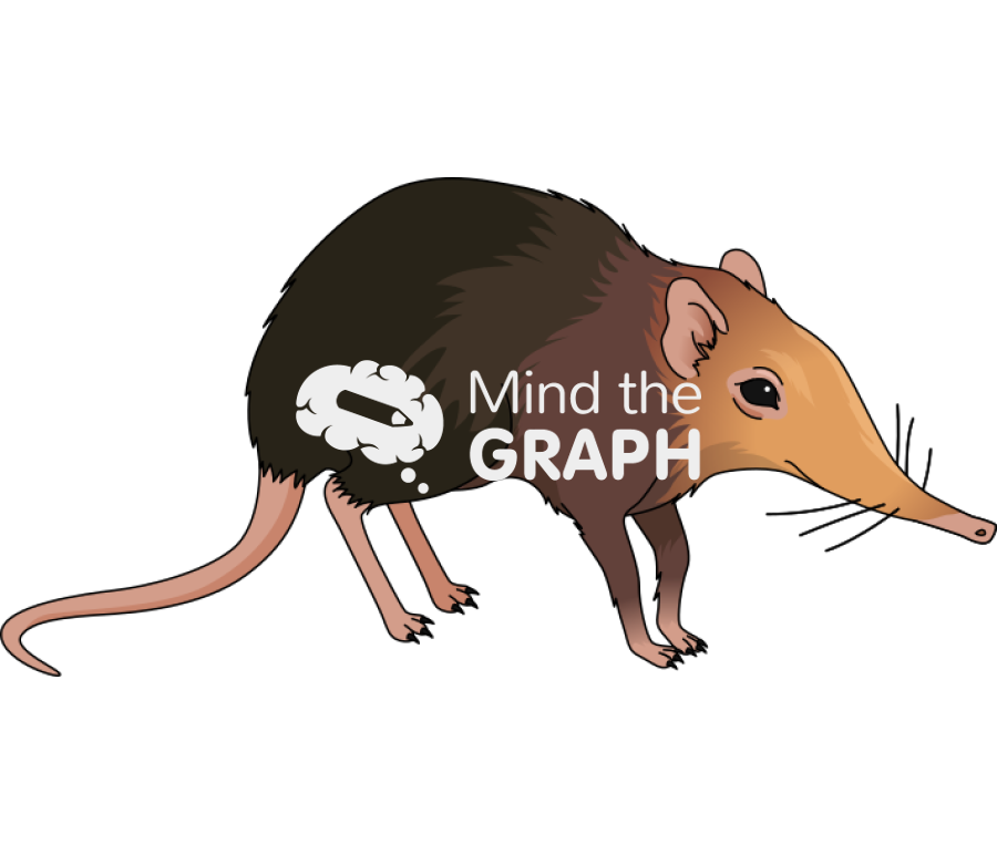 Elephant Shrew Png Isolated Hd (olive, salmon, black)