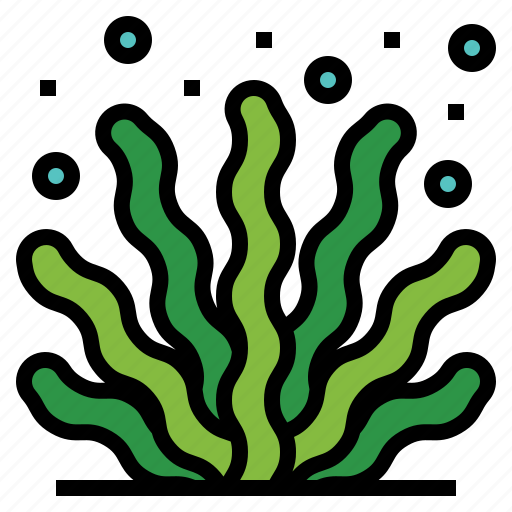 Algae Png File (black, gray, teal)