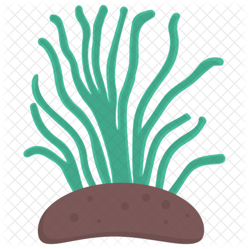 Algae Png Hd Isolated (black, gray, indigo)