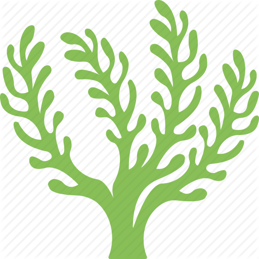 Algae Png Image (black, gray, indigo)