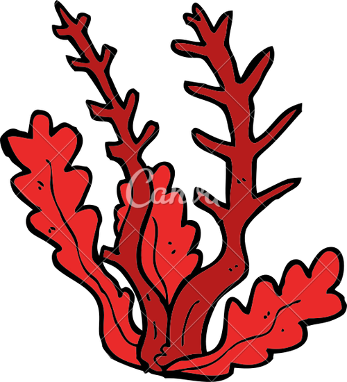 Algae Png Isolated File (maroon, black, red)