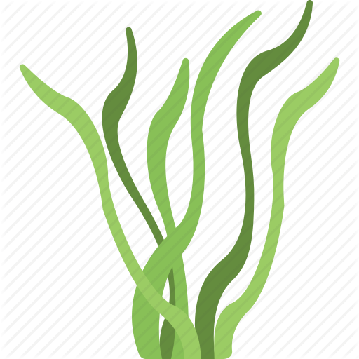 Algae Transparent Png (black, indigo)