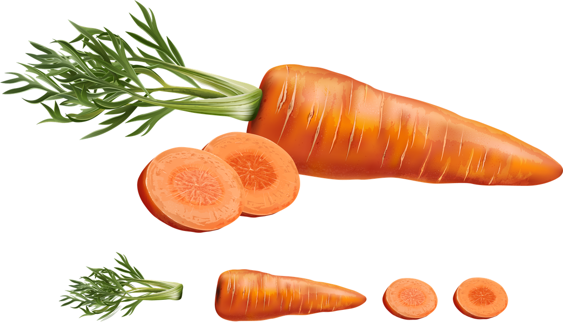 Slice Carrot Slices Png File (black, salmon)