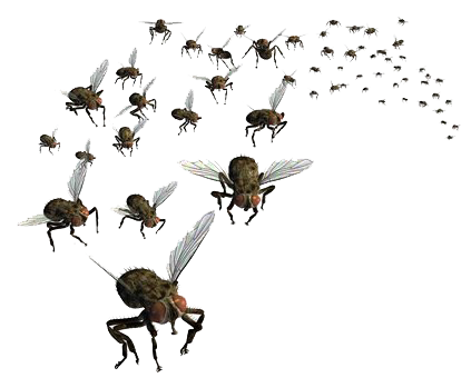 Flies Png Pic (white)