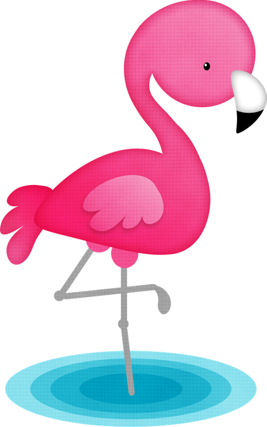 Clipart Flamingo Bird Vector Transparent Png (salmon, white, teal, greenish blue, black)