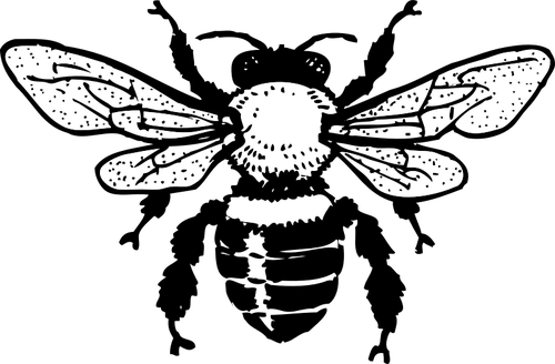 Clipart Honey Bee Vector Png Clipart (lavender, black, white)