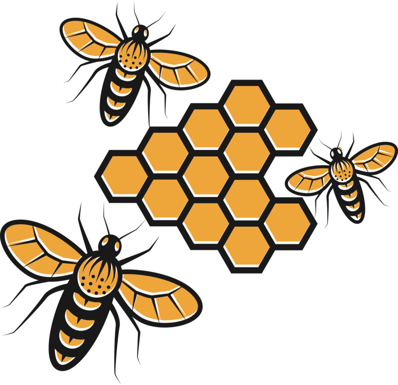 Clipart Honey Bee Vector Png Transparent Image (orange, black)