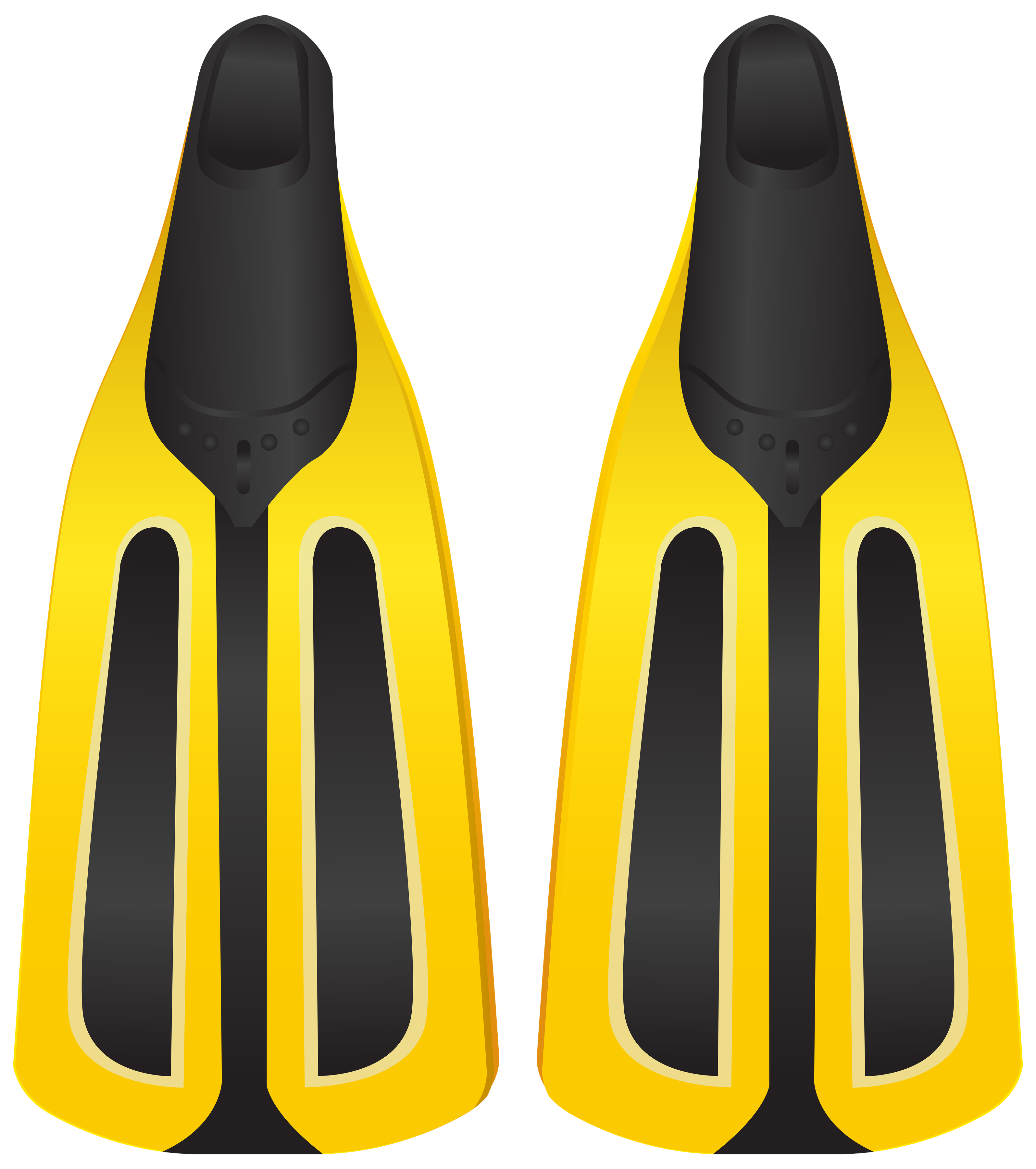 Flippers Png Image (indigo, black, gold)