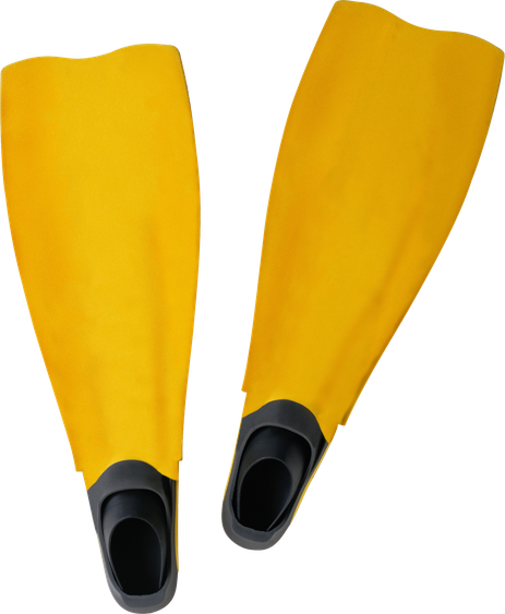 Flippers Png Isolated File (black, orange)