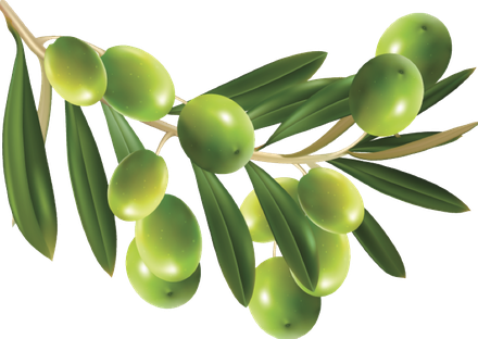 Olive Png Hd (green, olive, black)