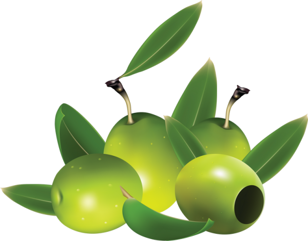 Olives Png Clipart (olive, black)