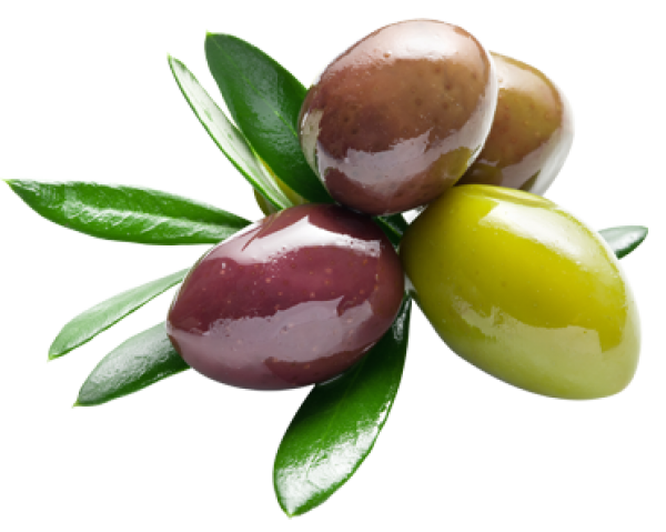 Olives Png Free Download (black)