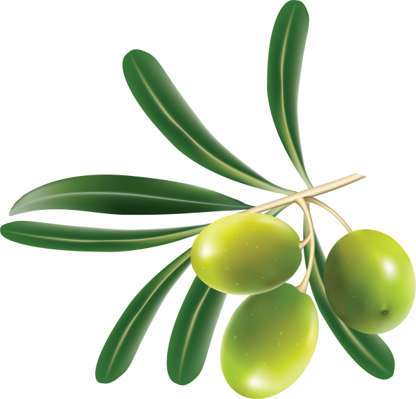 Olives Png Isolated File (green, black)