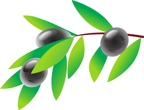 Olives Png Isolated Image (olive, lavender, teal, green, white)