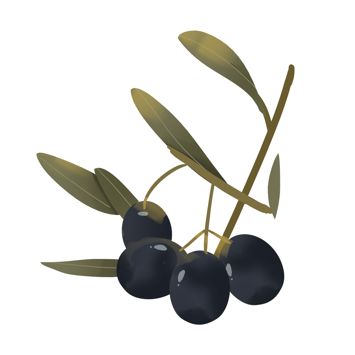 Olives Png Photos (white, olive, black, gray)