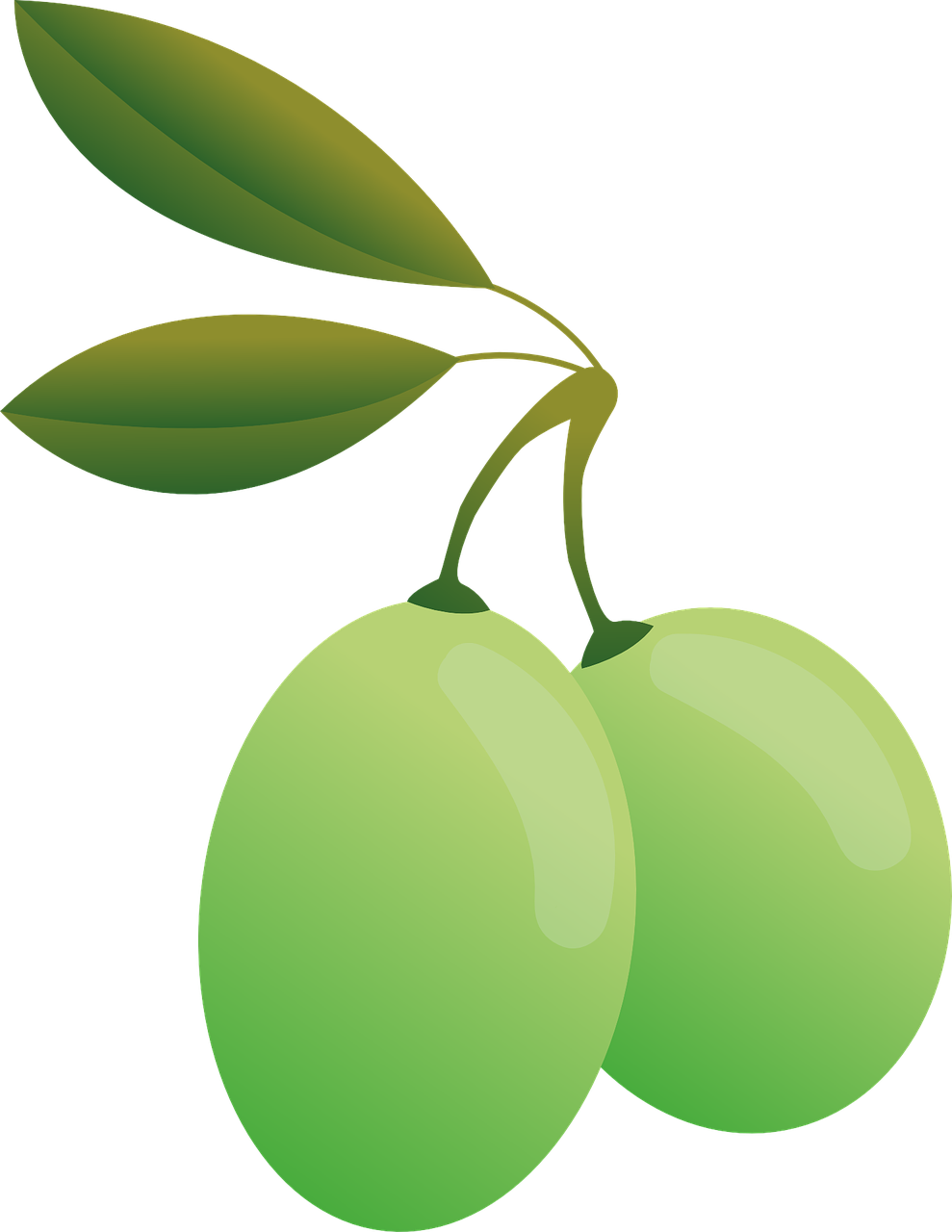 Olives Png Pic (silver, olive, black, gray)