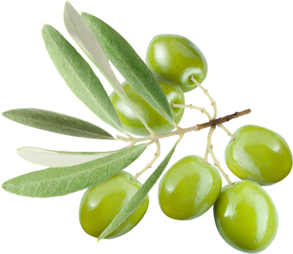 Olives Png (beige, silver, black)