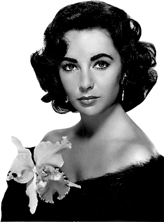 Elizabeth Taylor Png File (black)