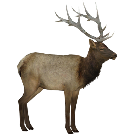 Elk Png Background Image (black)