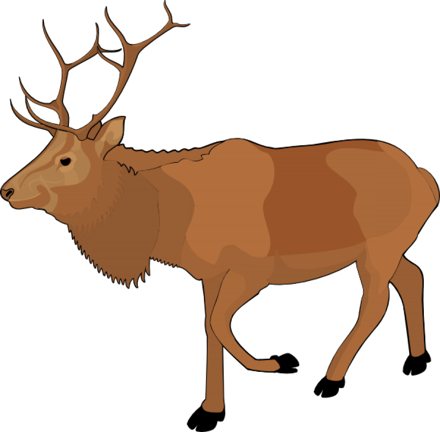 Elk Png Isolated Photo (olive, black, chocolate)