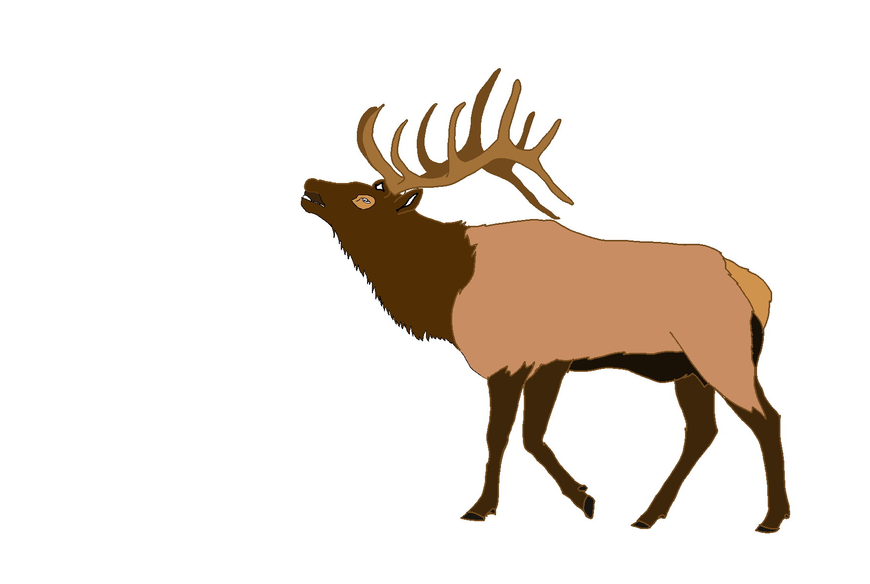 Elk Png Transparent Image (salmon, black, maroon)