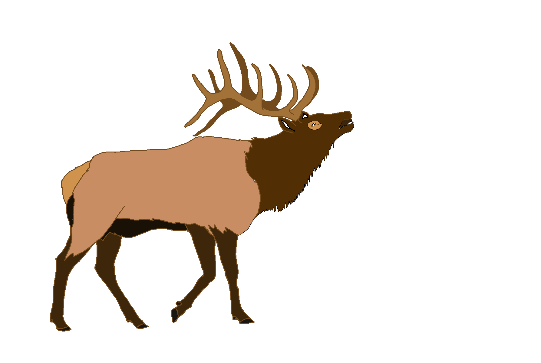 Elk Transparent Isolated Png (salmon, black, maroon)