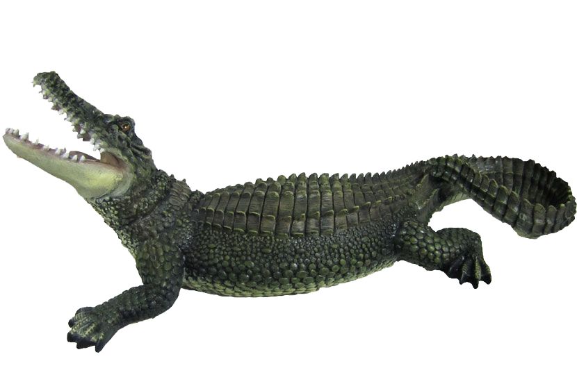 Alligator Png Photos (white, lavender, black, indigo)