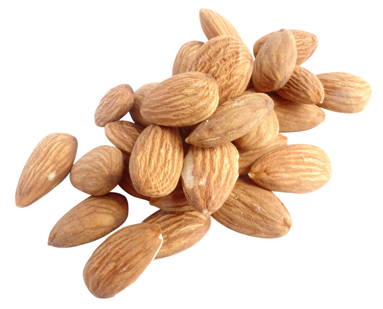 Almond Nut Png Image (salmon, black)