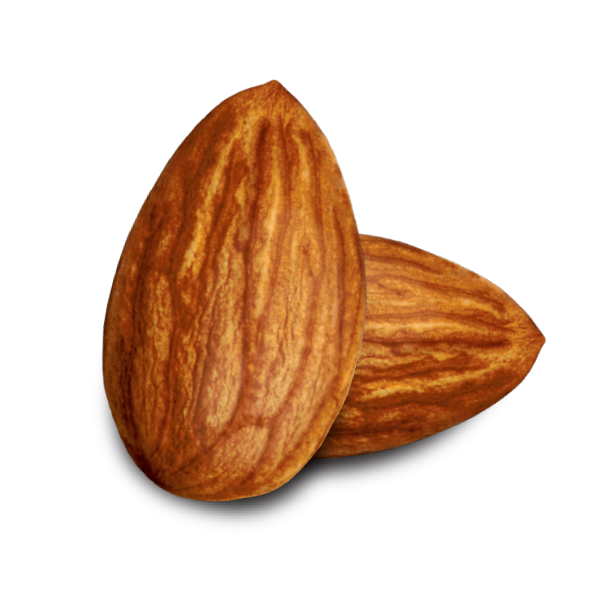 Almond Nut Png Photo (white, lavender, black, silver)