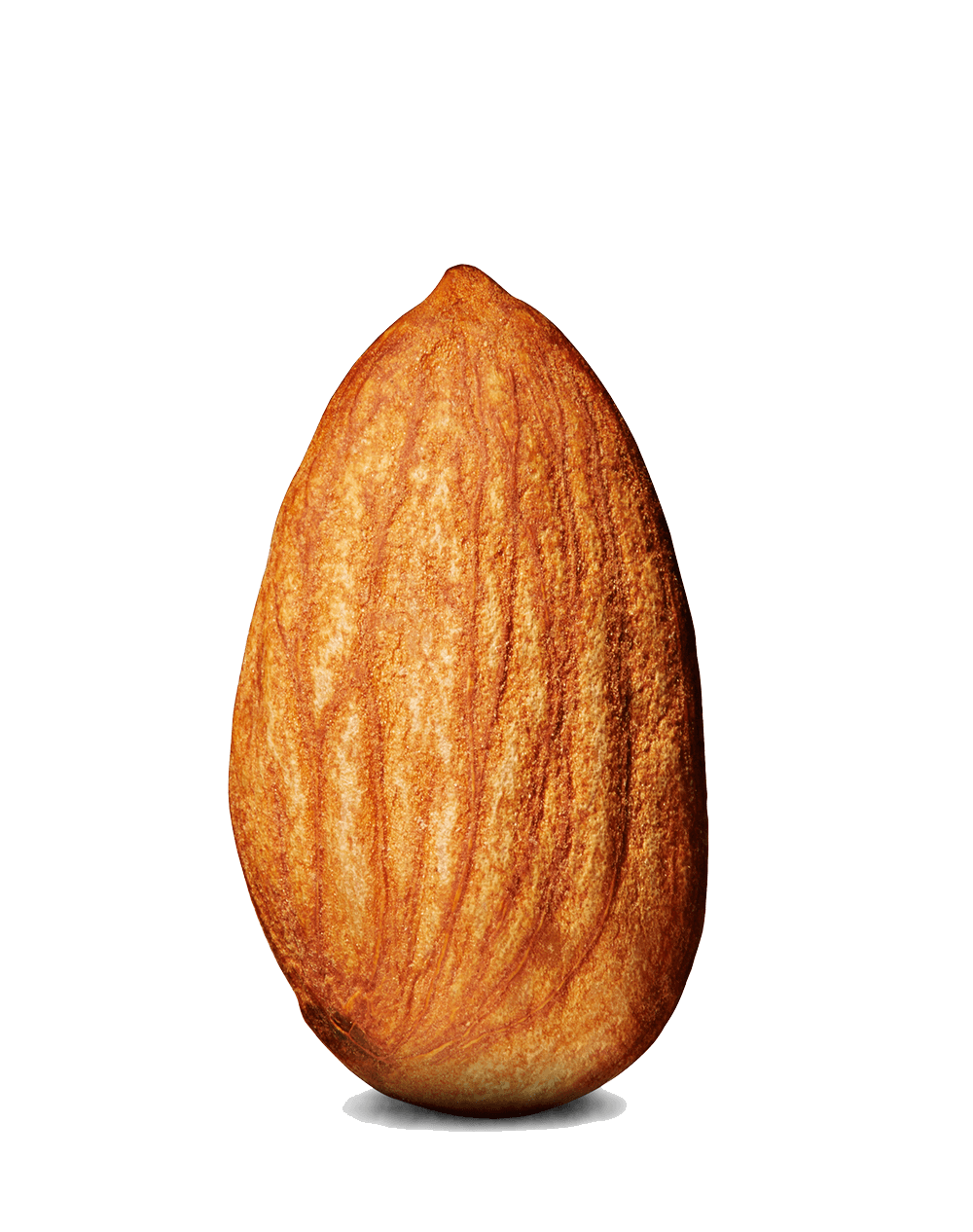 Almond Nut Png Photos (salmon, black, chocolate)