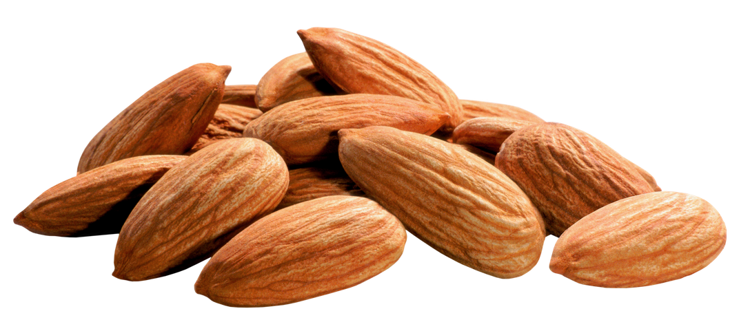 Almond Nut Png Pic (salmon, maroon, black)