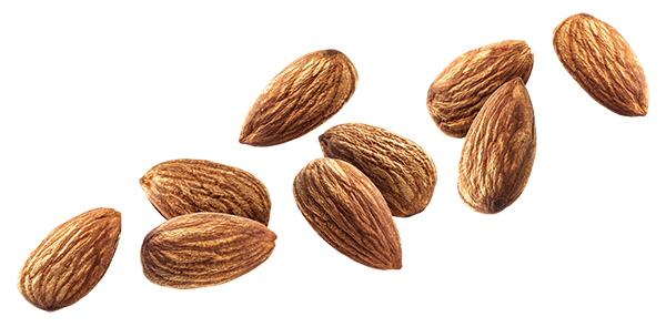 Almond Nut Png Transparent Image (white, beige)