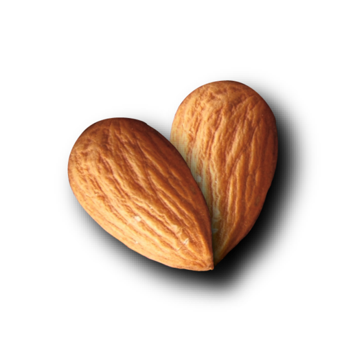 Almond Nut Transparent Background (black, pink, maroon, salmon, chocolate)