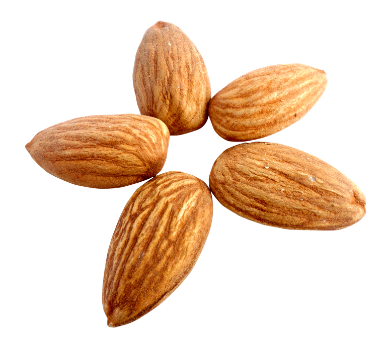 Almond Nut Transparent Images Png (black, chocolate)