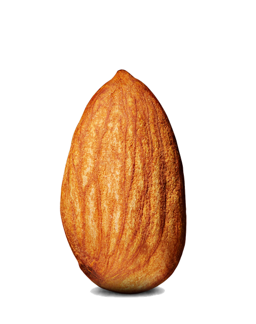 Almond Png Photos (black, chocolate)