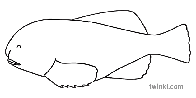 Blob Fish Png File (white, gray)