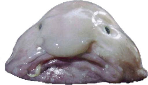 Blob Fish Png Isolated Pic (black, silver)