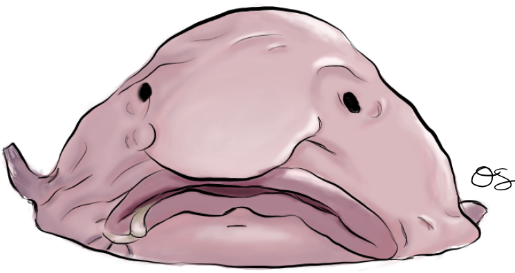 Blob Fish Png Pic (black, silver)