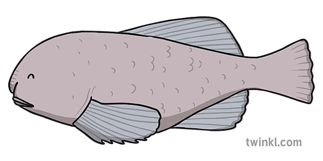 Blob Fish Png Picture (silver, gray)