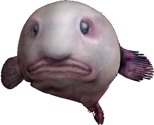 Blob Fish Png (indigo, lavender, black, silver)