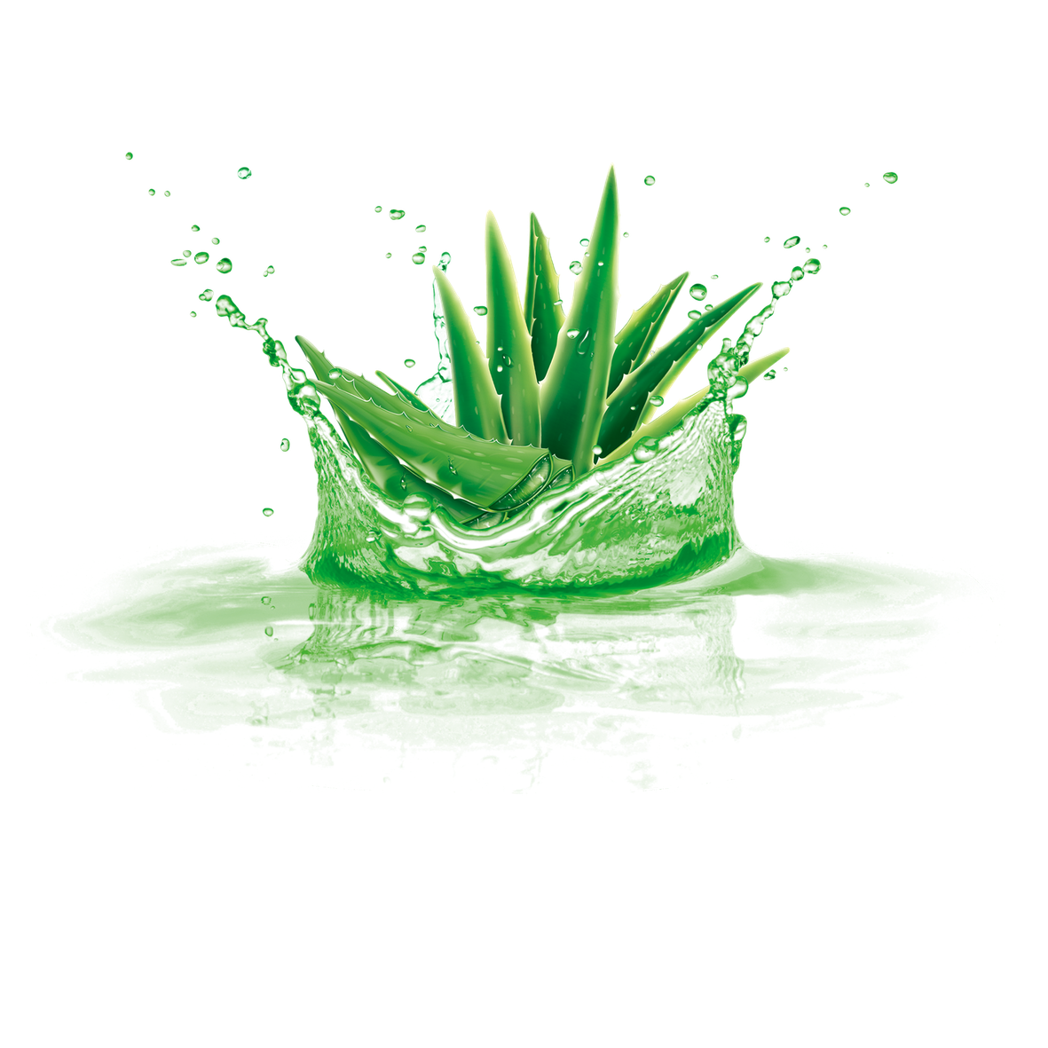 Aloe Vera Png Isolated Photos (white, beige, black)