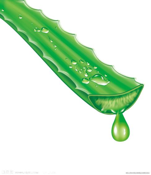 Aloe Vera Png Photos (green, black, gray, teal)